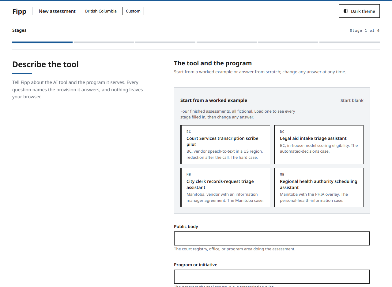 Stage 1 of Fipp: the describe-the-tool form with four worked-example presets